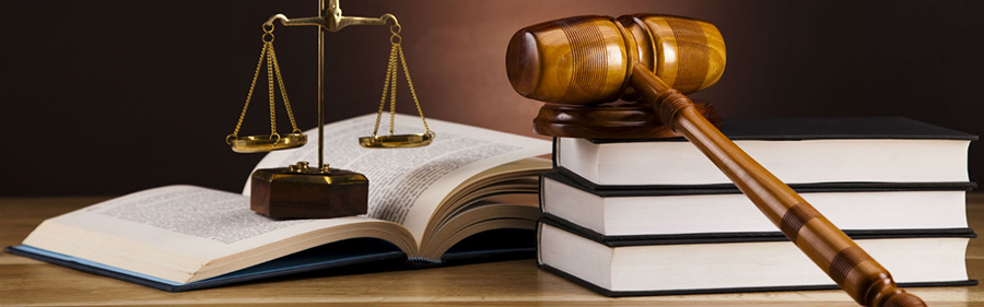 Wisconsin State Statutes